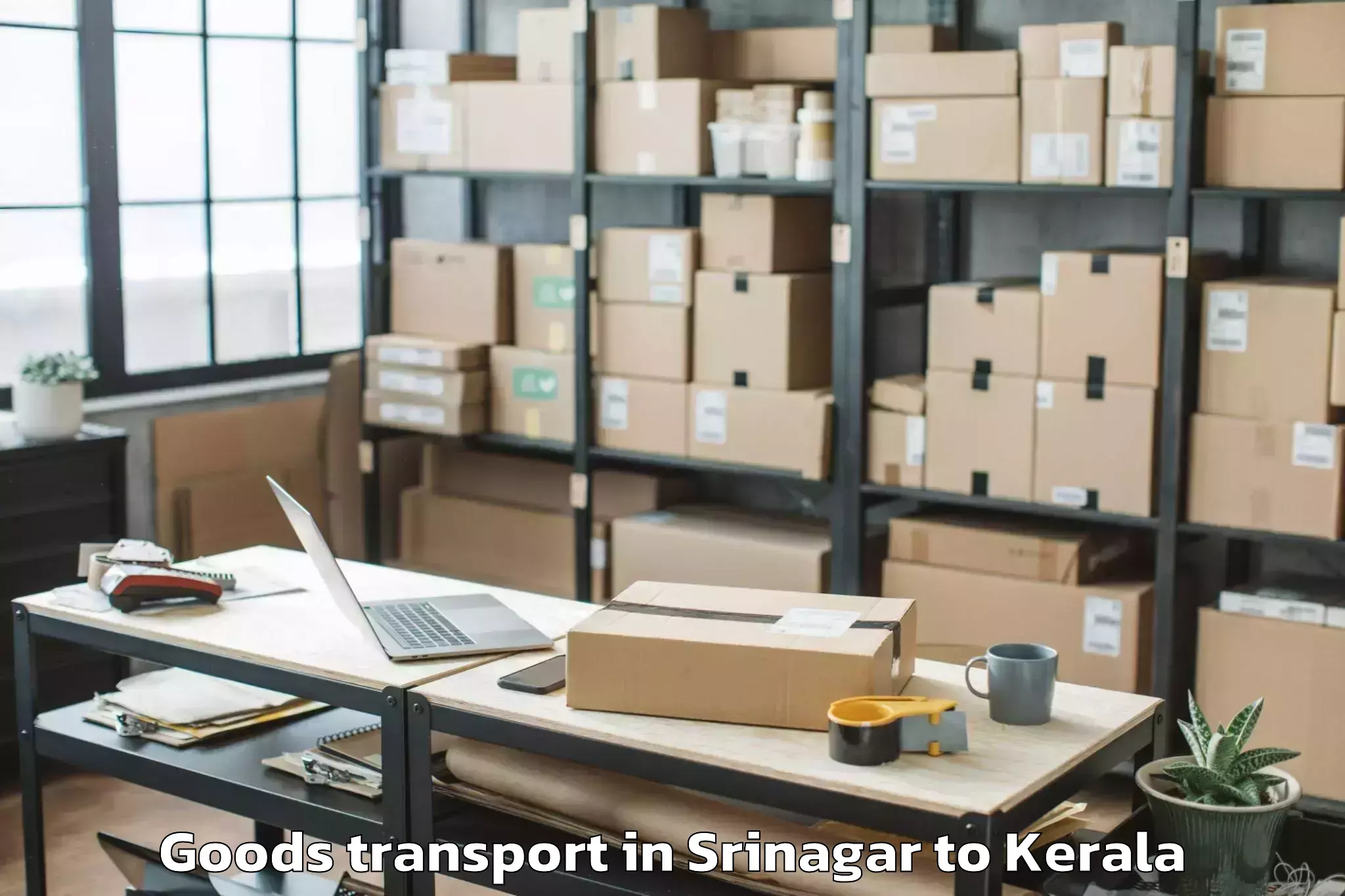 Easy Srinagar to Selex Mall Thrissur Goods Transport Booking